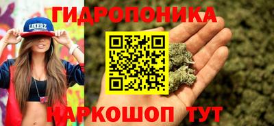 тгк Краснознаменск