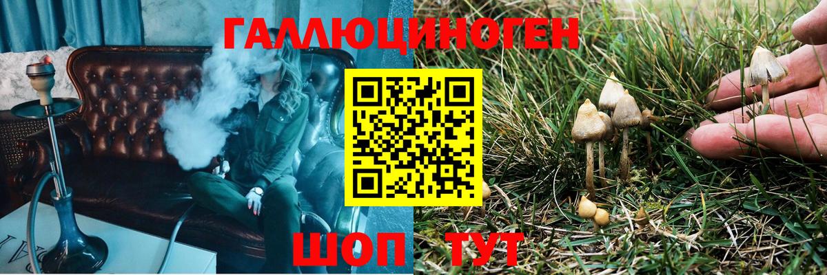 Галлюциногенные грибы Psilocybine cubensis Чистополь