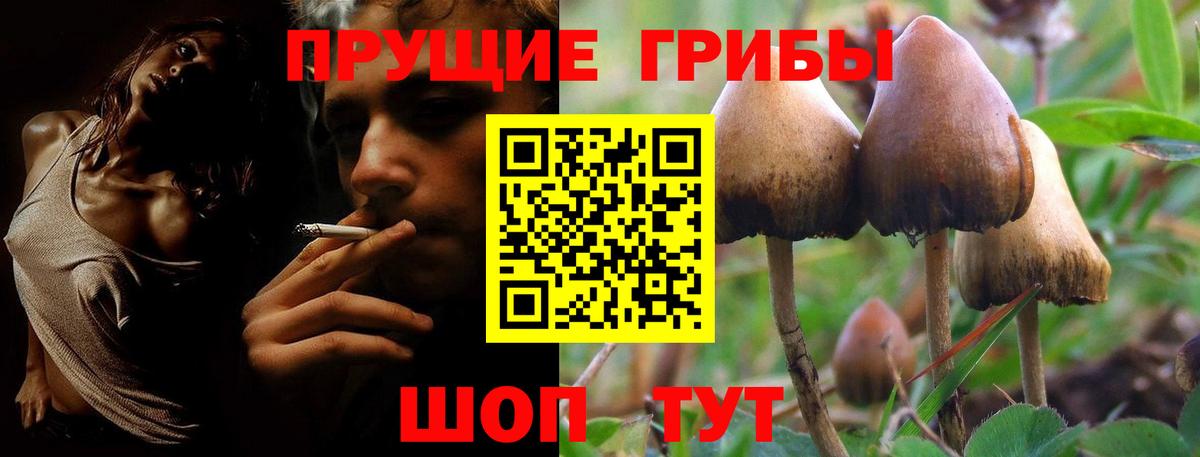 Чистополь  Галлюциногенные грибы GOLDEN TEACHER  Вход с VPN 